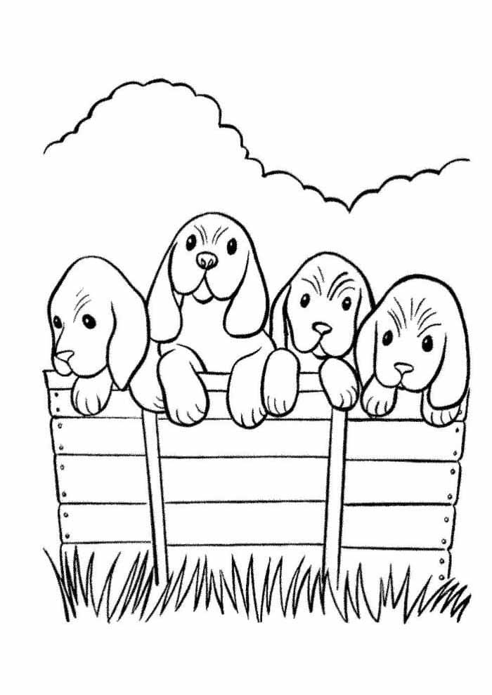 Desenho de Cachorros Fofos para Colorir