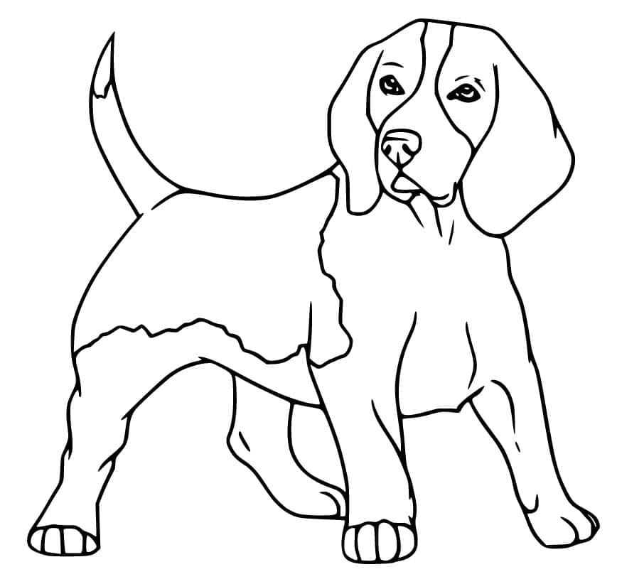 Desenho de Imagem de Cachorro Beagle para Colorir