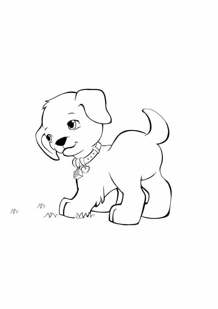 Desenho de Pequeno Cachorro para Colorir