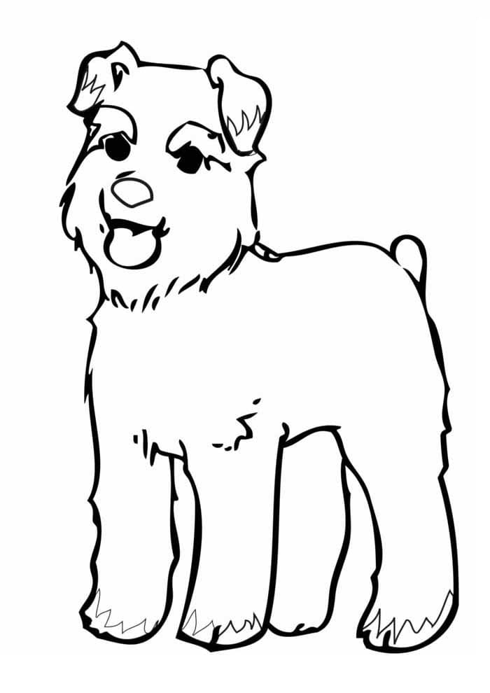 Desenho de um Cachorro para Colorir