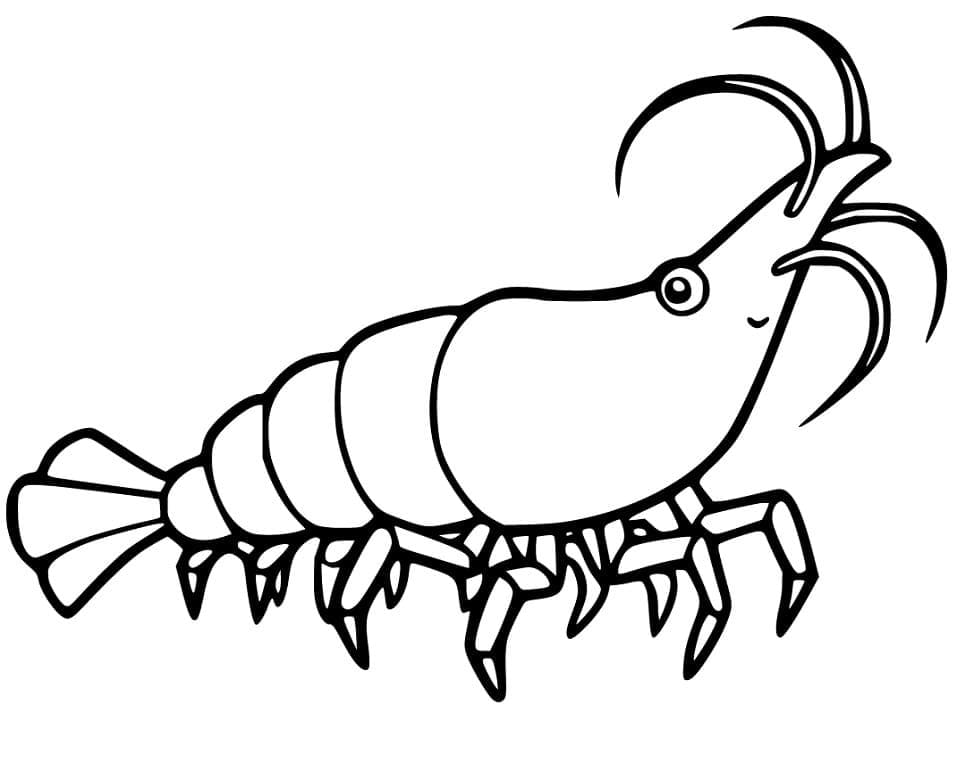 Desenho de um Camarão Fofo para Colori