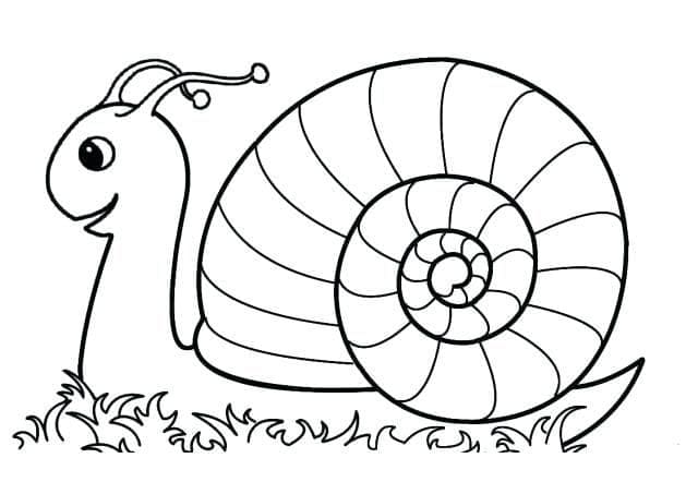 Desenho de Caracol Animado para Colorir