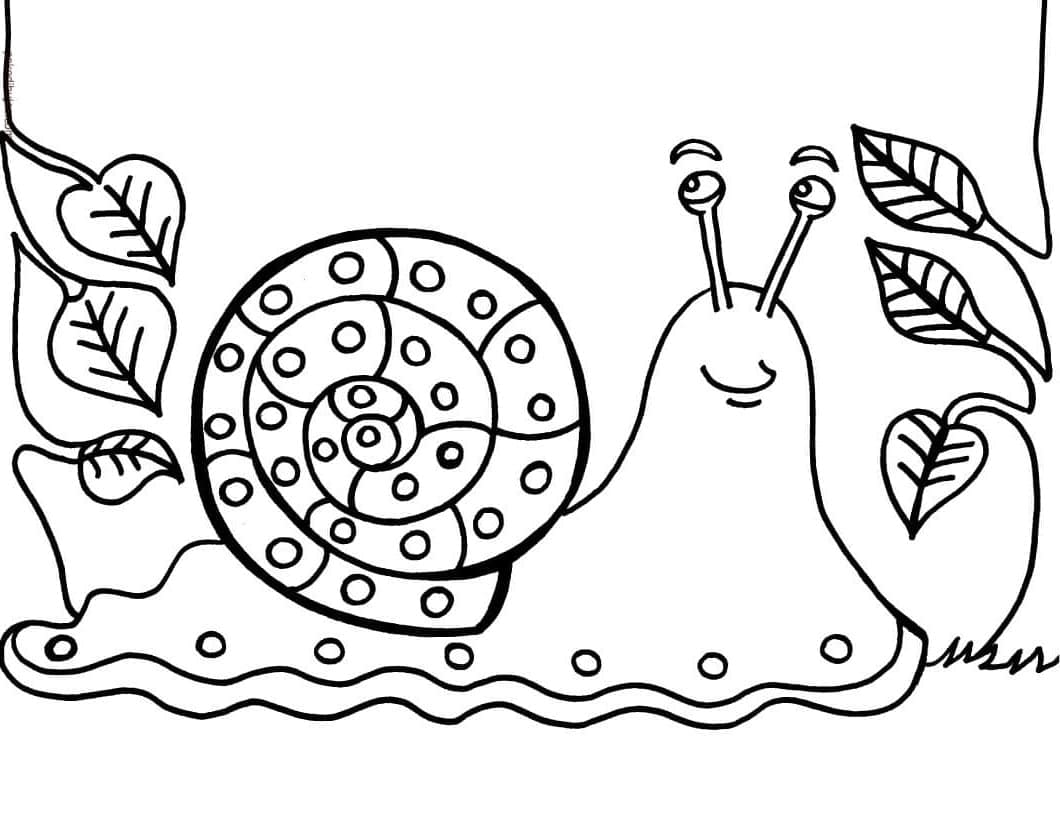 Desenho de Caracol Grátis para Colorir