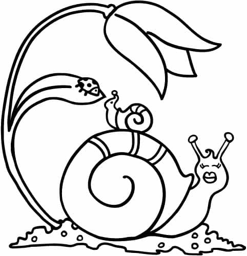 Desenho de Caracol Mãe e Bebê para Colorir