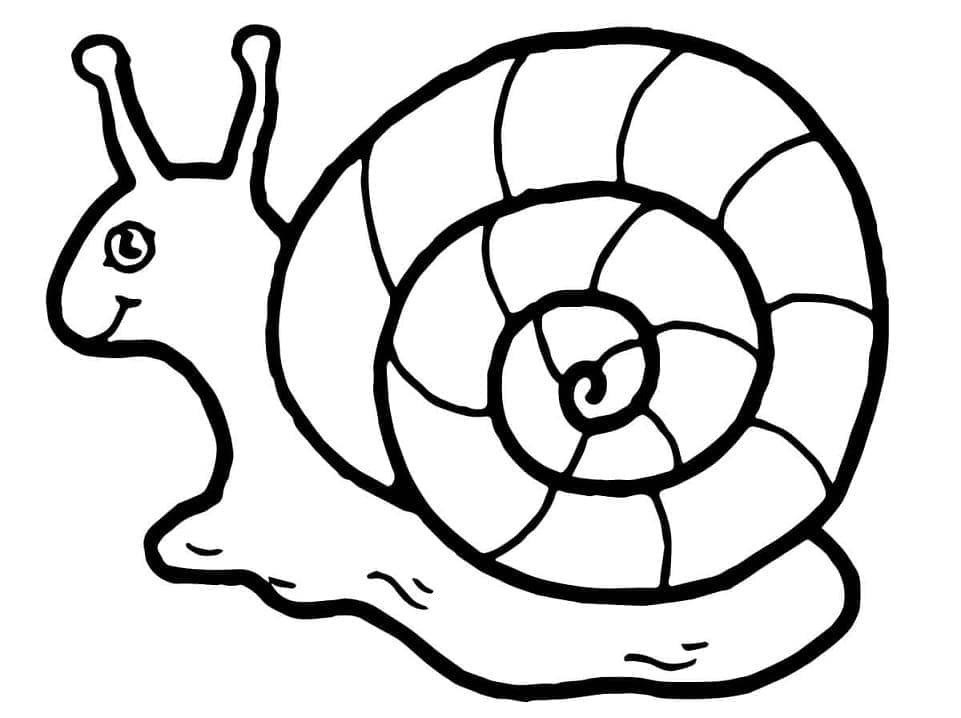 Desenho de Caracol Muito Fácil para Colorir