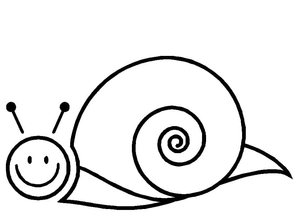 Desenho de Caracol Muito Simples para Colorir