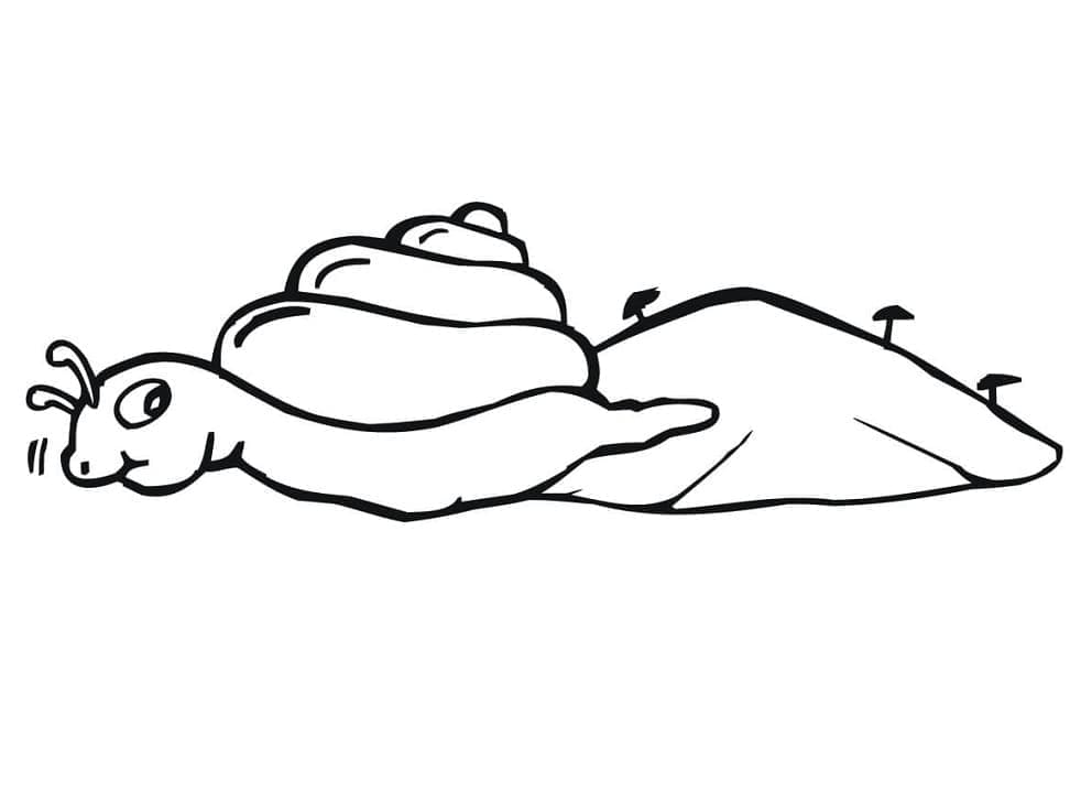 Desenho de Caracol Rastejante para Colorir