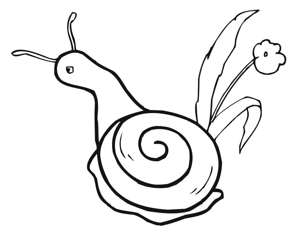 Desenho de Caracol Simples para Colorir