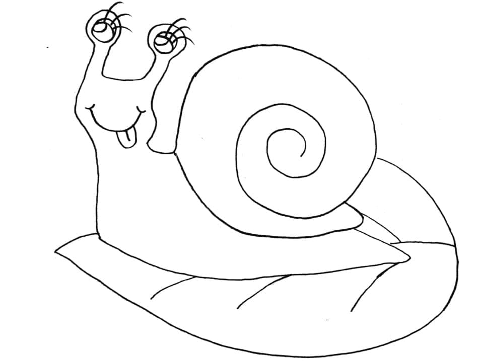 Desenho de Caracol em uma Folha para Colorir