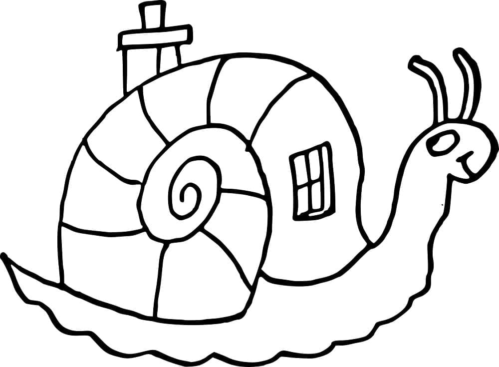 Desenho de Imagem de Caracol para Colorir