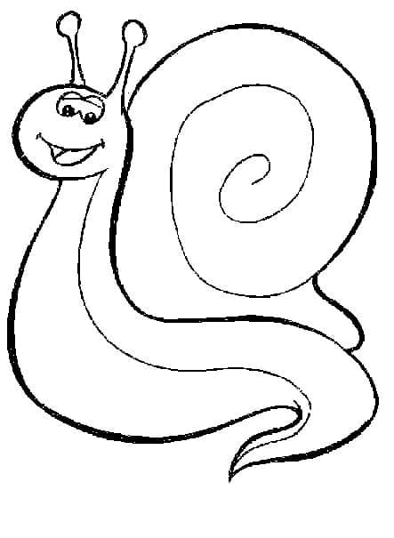 Desenho de Pequeno Caracol para Colorir