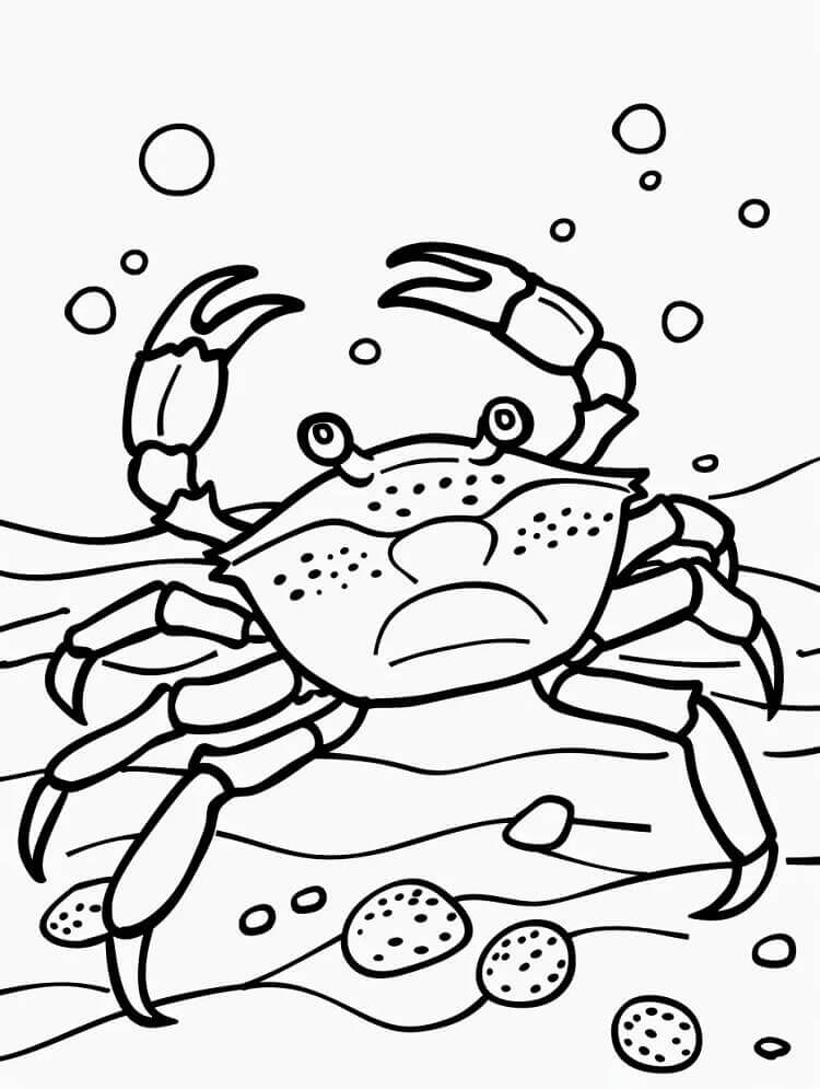 Desenho de Caranguejo Grátis para Colorir