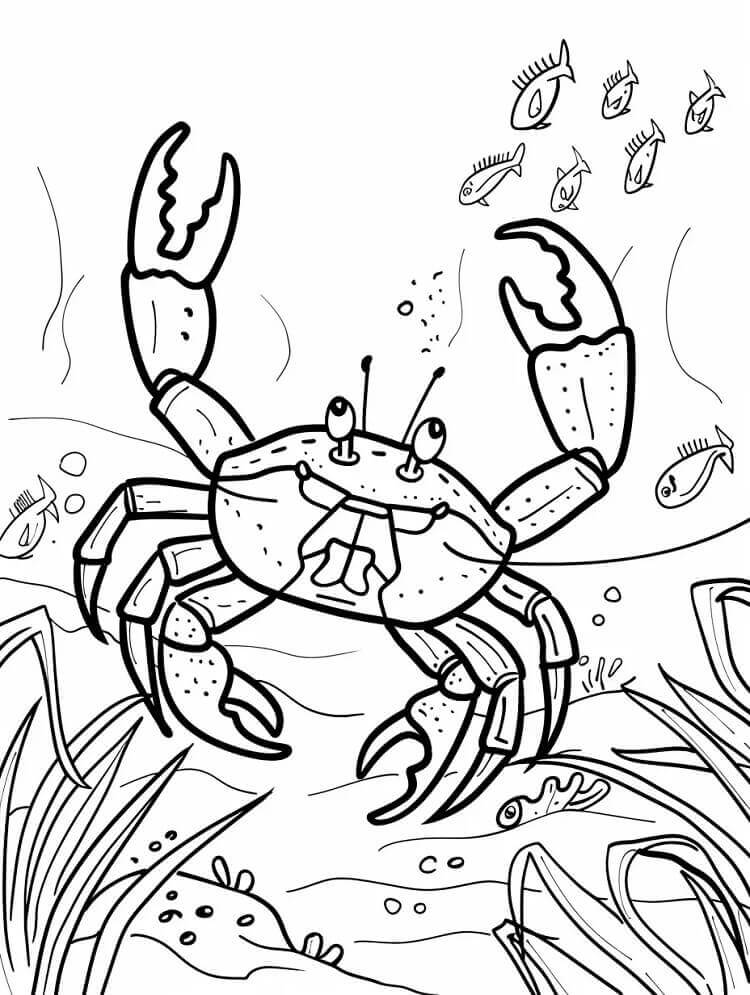 Desenho de Caranguejo Imprimivel Grátis para Colorir