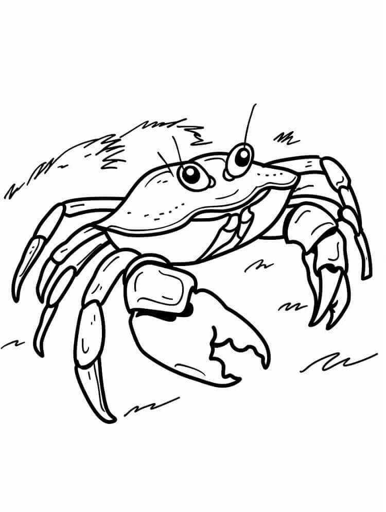 Desenho de um Caranguejo Engraçado para Colorir