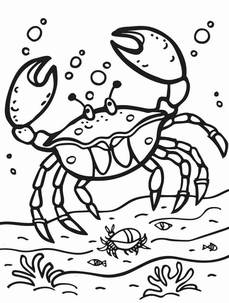 Desenho de um Caranguejo para Colorir