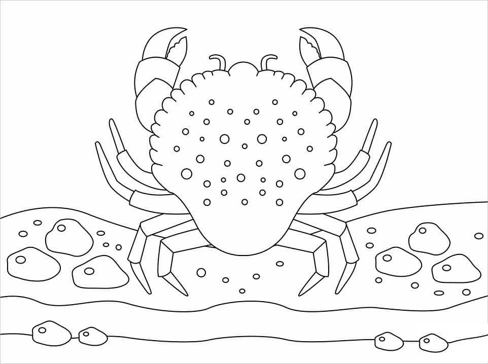 Desenho de Caranguejo na Praia para Colorir