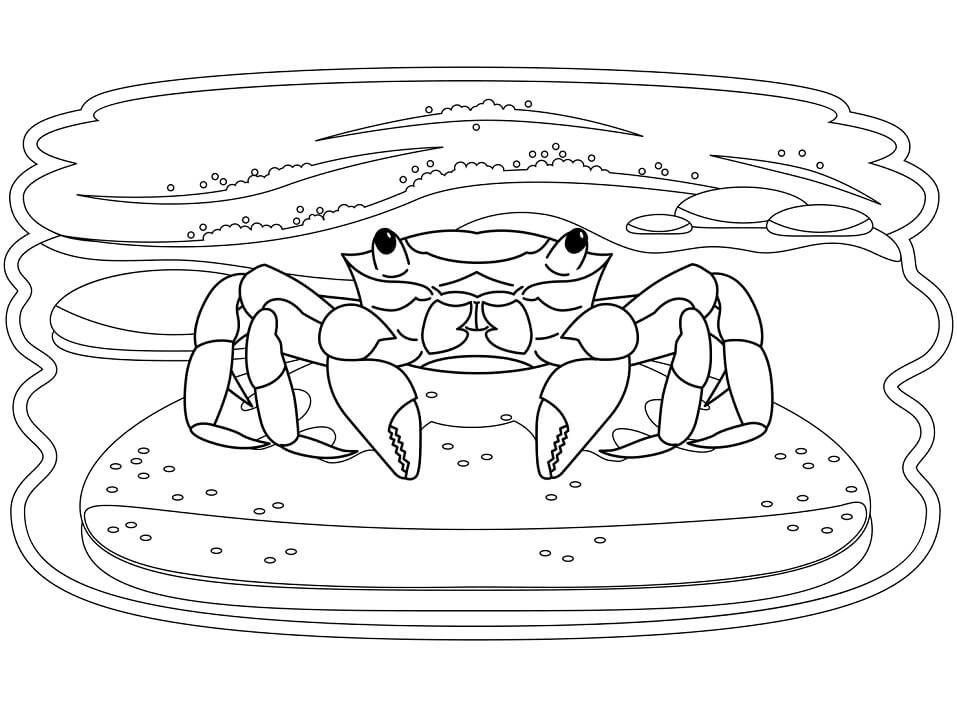Desenho de Caranguejo para Imprimir Lápis de Cor
