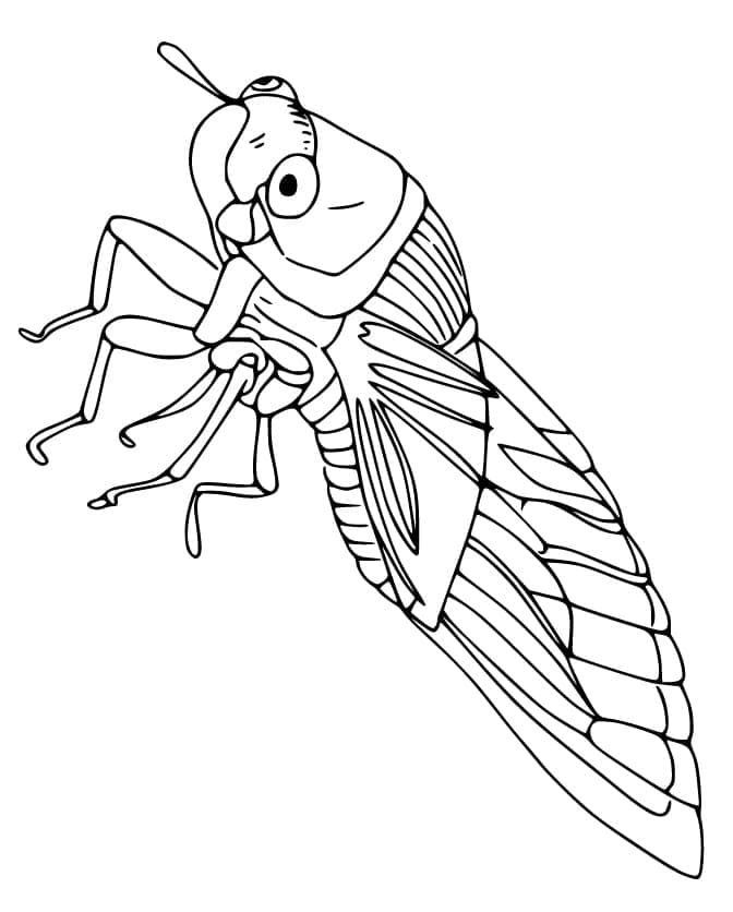 Desenho de Cigarra Engracada para Colorir