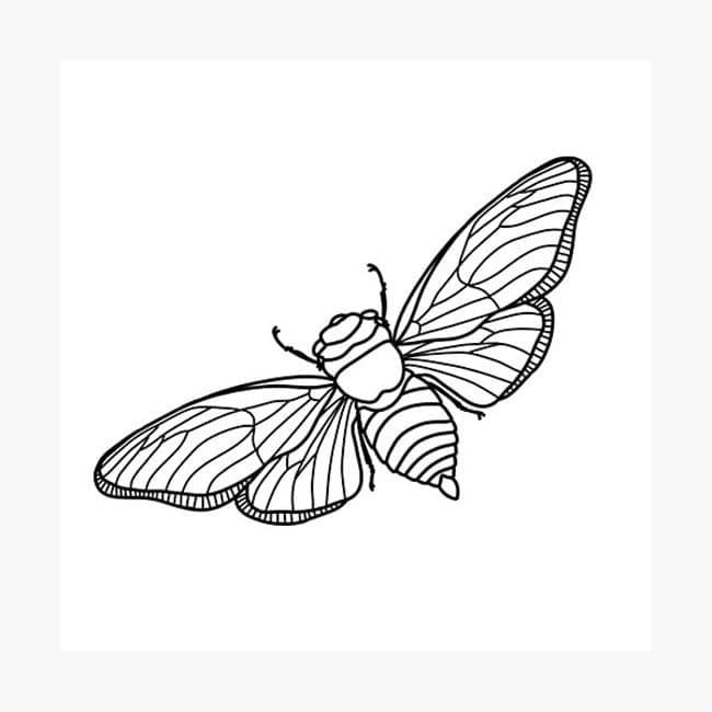 Desenho de Cigarra Pequena para Colorir