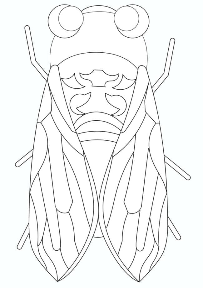 Desenho de Cigarra Simples para Colorir