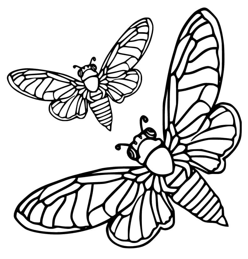Desenho de Duas Cigarras para Colorir