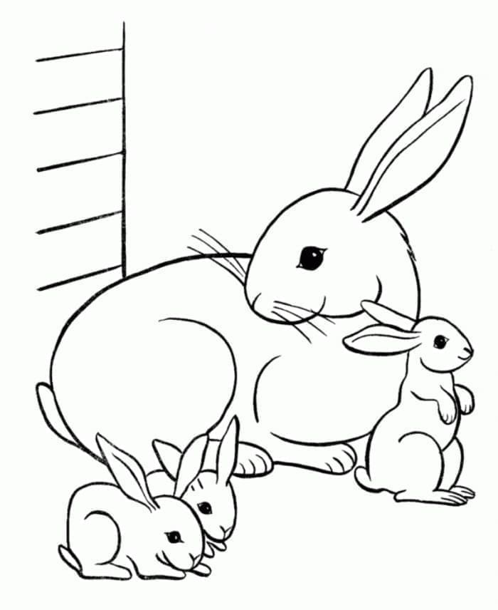 Desenho de uma Família de Coelhos para Colorir