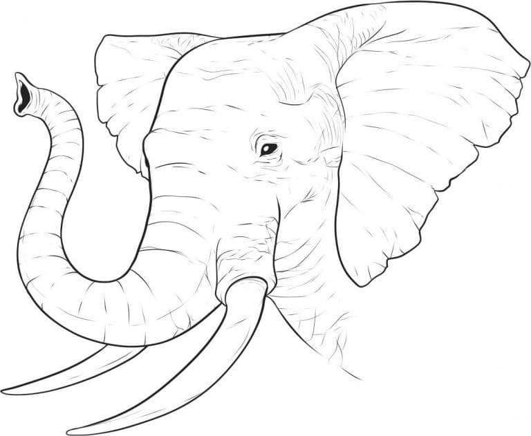 Desenho de Cabeça de Elefante para Colorir