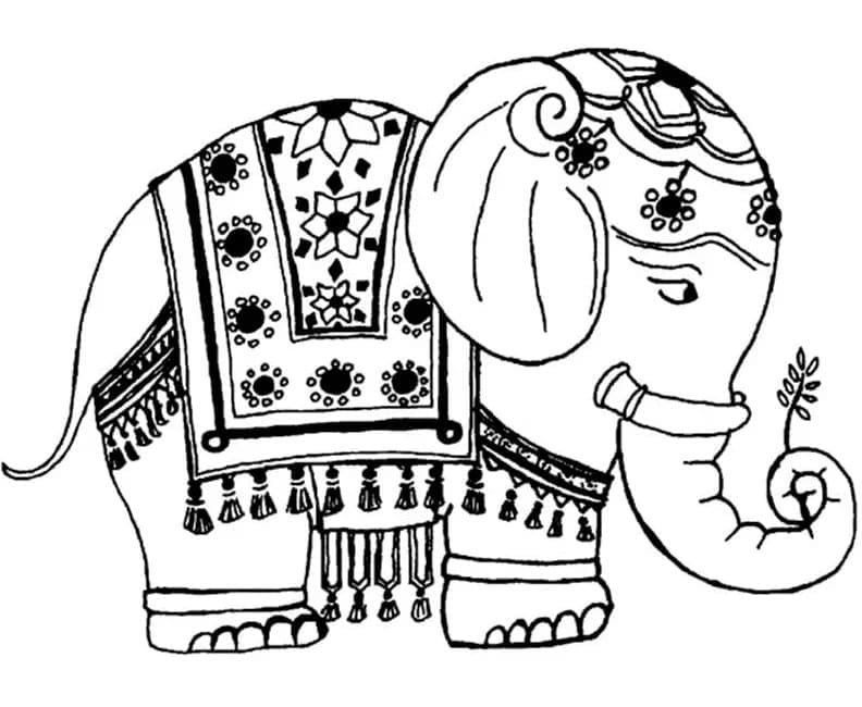 Desenho de Elefante Indiano para Colorir