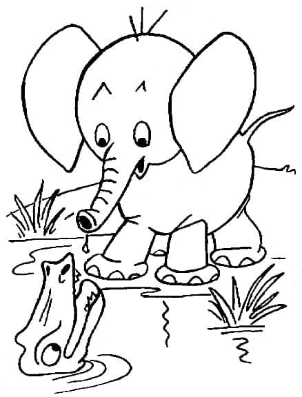 Desenho de Elefante e Jacaré para Colorir