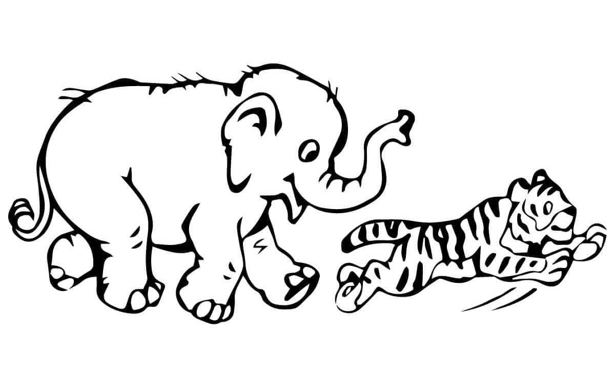 Desenho de Elefante e Tigre para Colorir