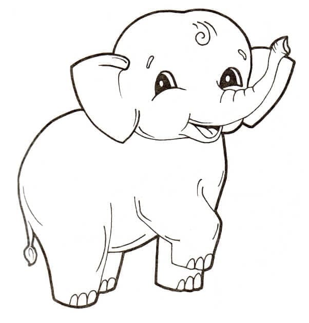 Desenho de Lindo Elefante para Colorir