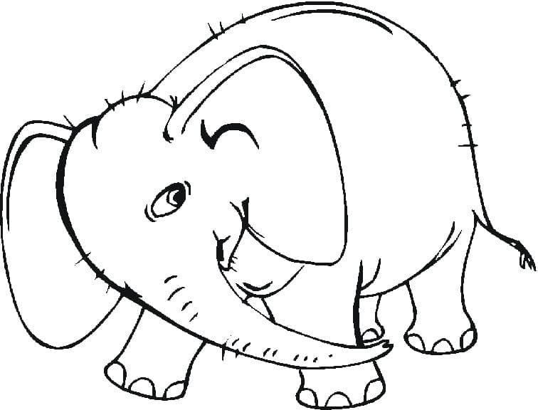 Desenho de o Elefante para Colorir