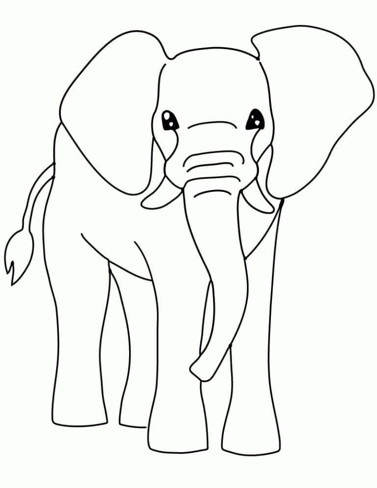 Desenho de um Elefante Fácil para Colorir