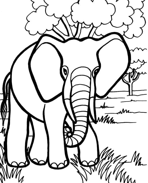 Desenho de um Elefante Selvagem para Colorir