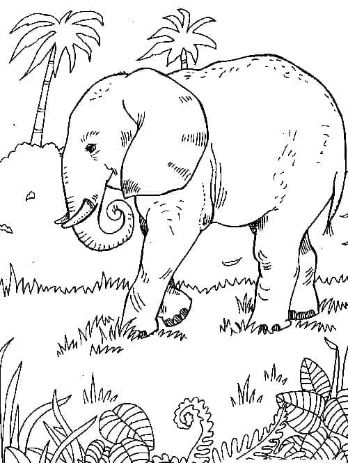 Desenho de um Elefante na Selva para Colorir