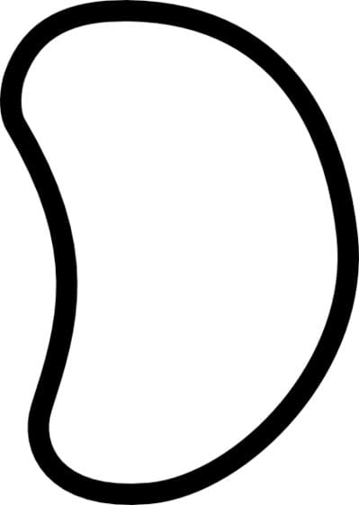 Desenho de Feijão Fácil para Colorir