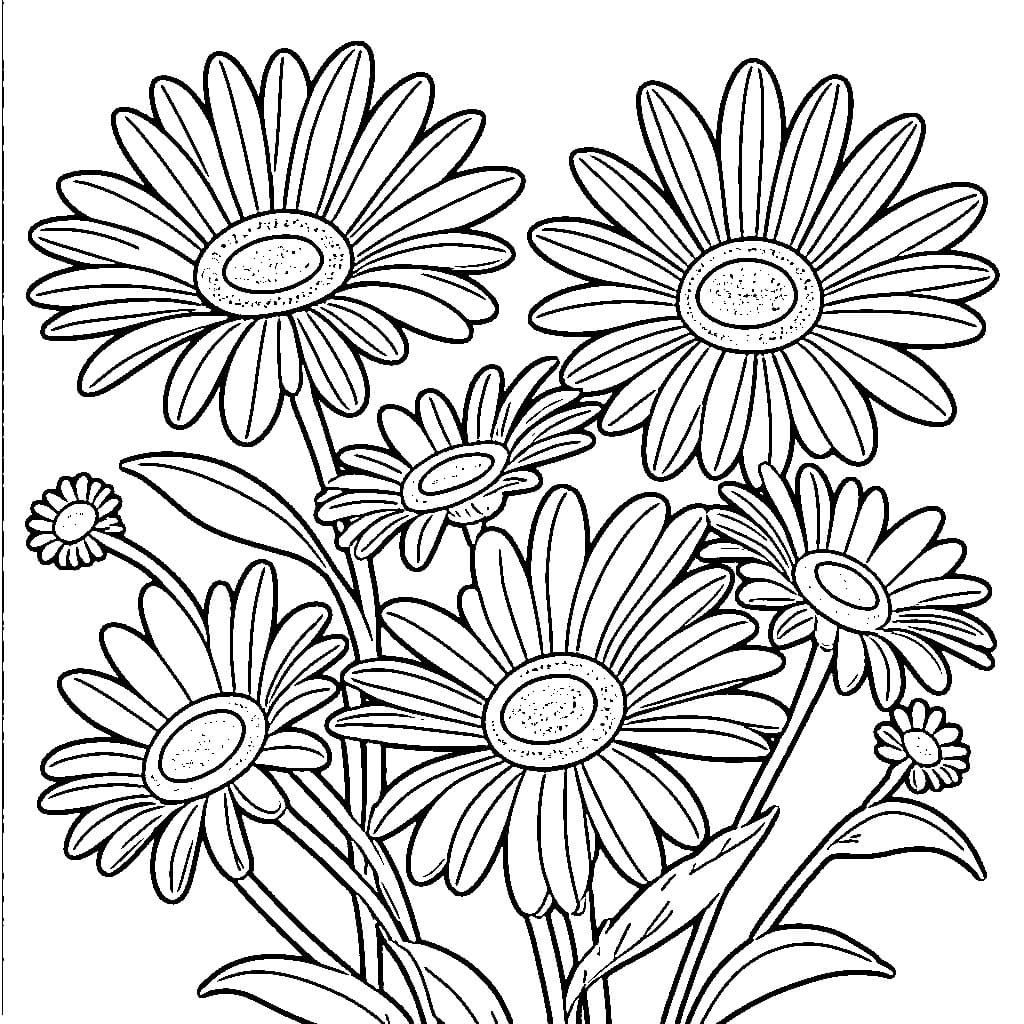 Desenho de Contorno de Margarida para Colorir