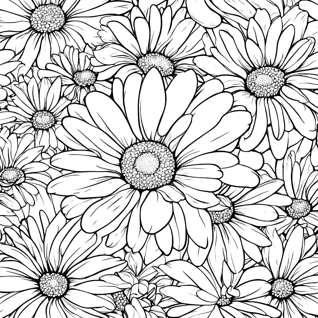 Desenho de Fundo de Margarida para Colorir