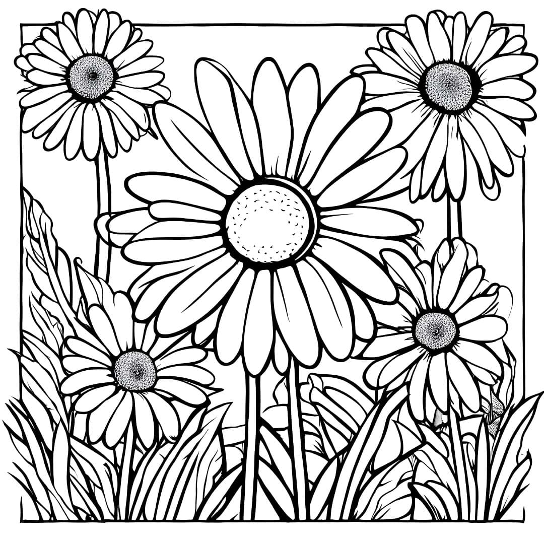 Desenho de Imagem Grande de Margarida para Colorir