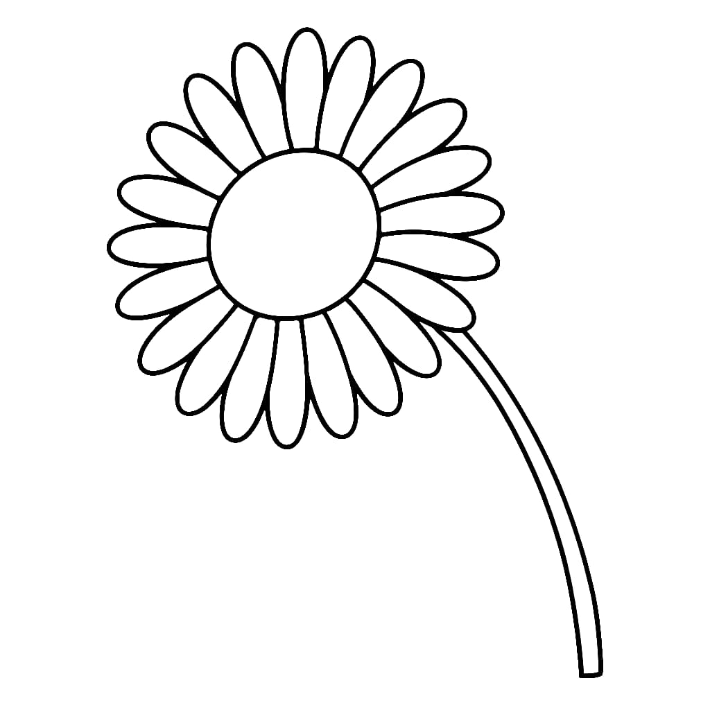 Desenho de uma Margarida para Colorir