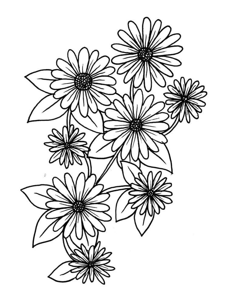 Desenho de Margaridas Incríveis para Colorir