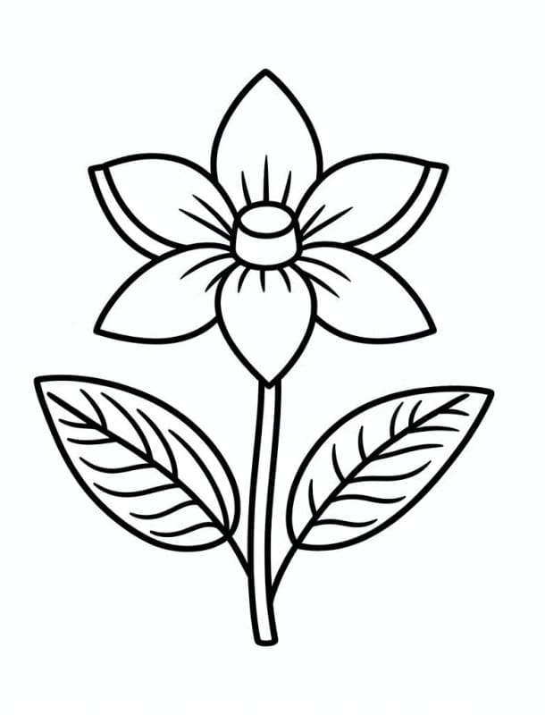 Desenho de Flor Bonita para Colorir