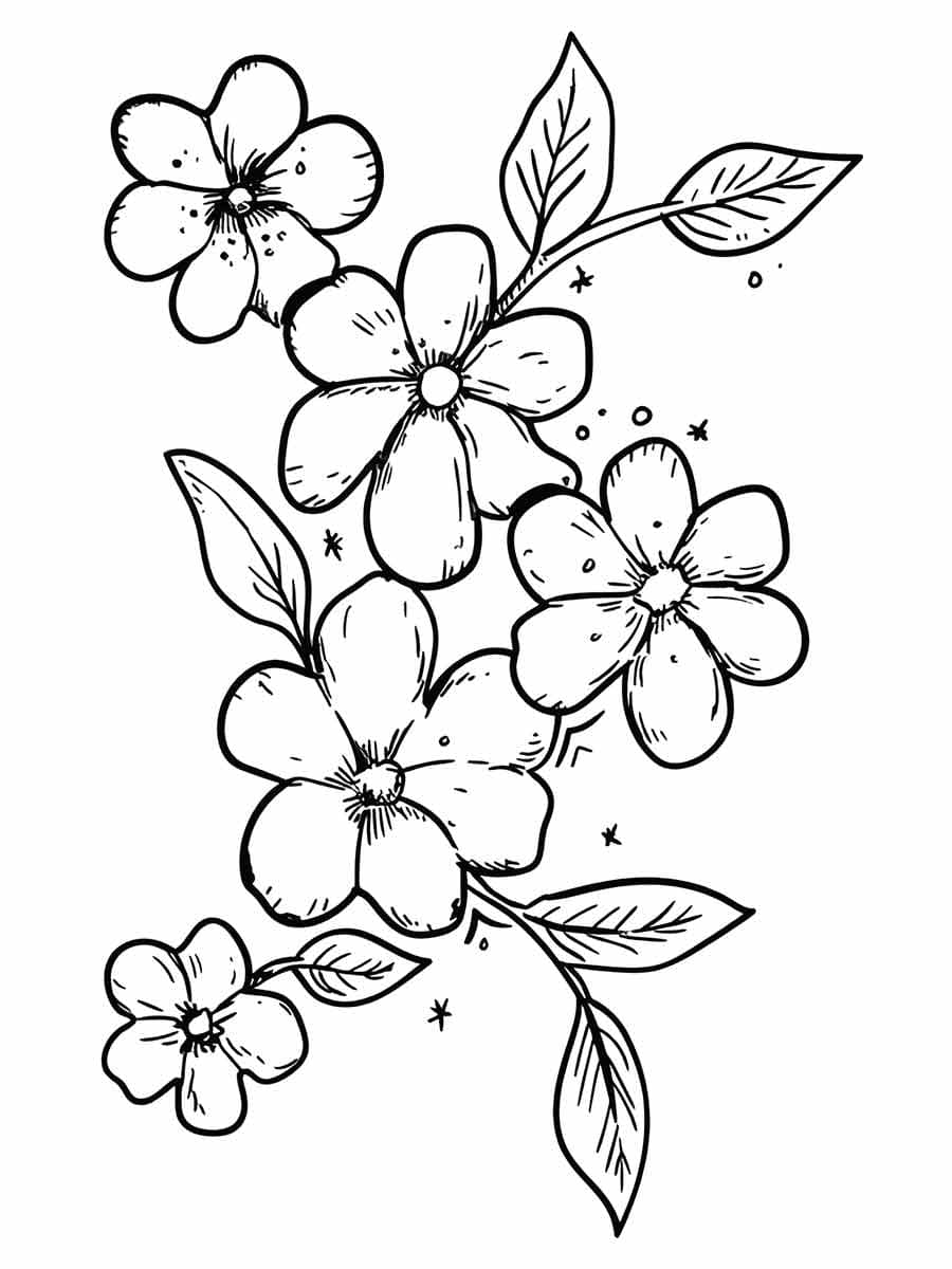 Desenho de Flores Grátis para Crianças para Colorir