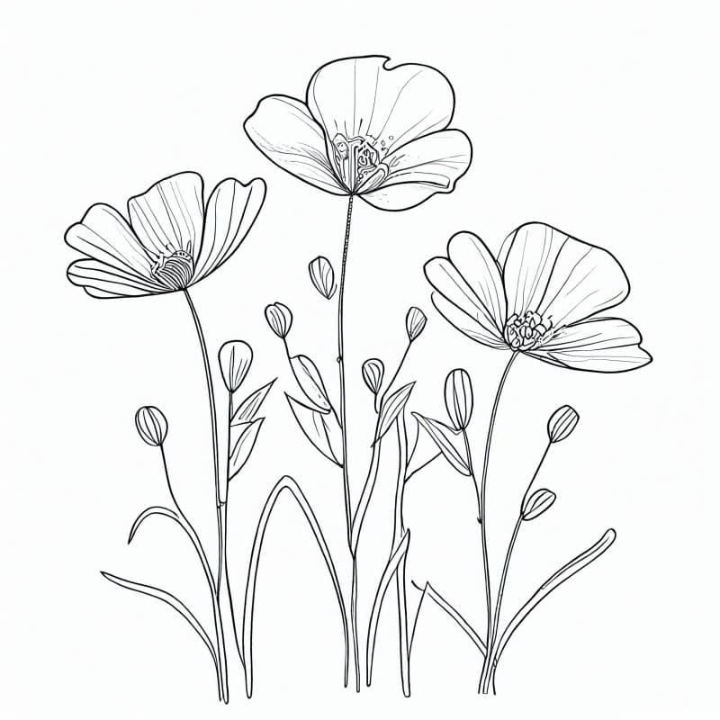 Desenho de Flores Imprimivel para Colorir