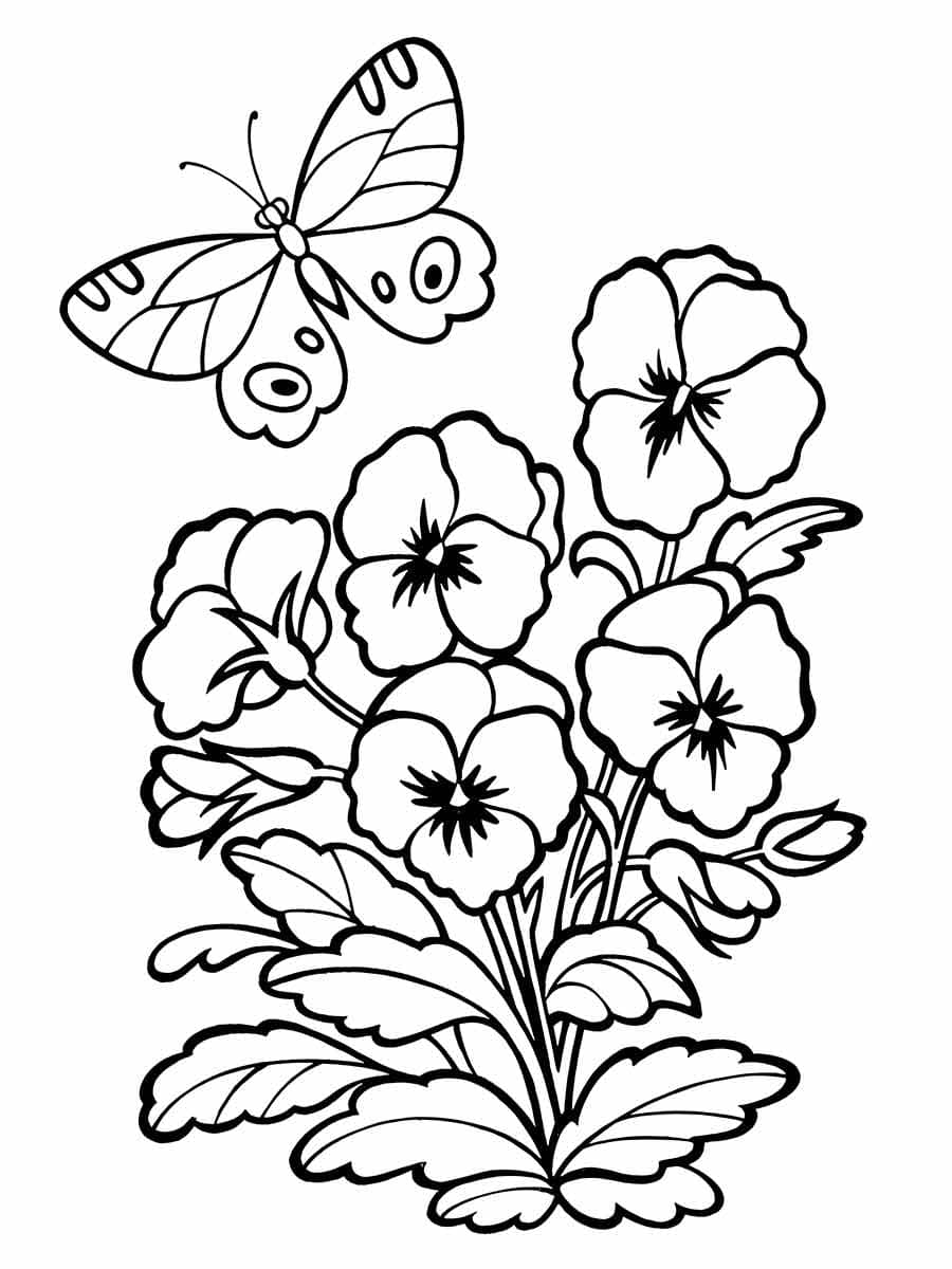 Desenho de Flores e uma Borboleta para Colorir