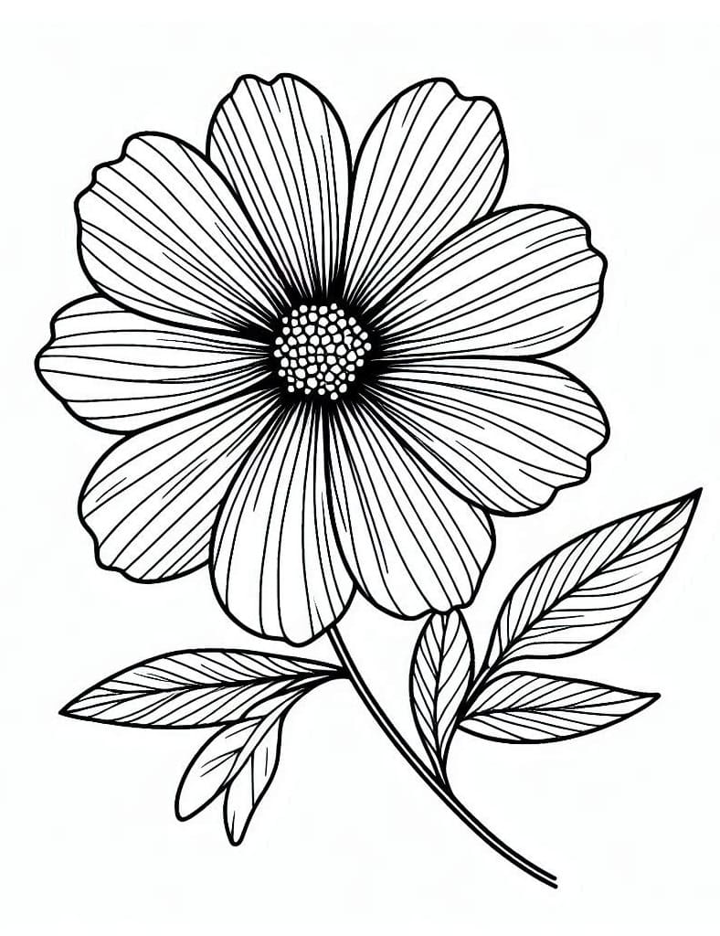 Desenho de uma Flor Bonita para Colorir