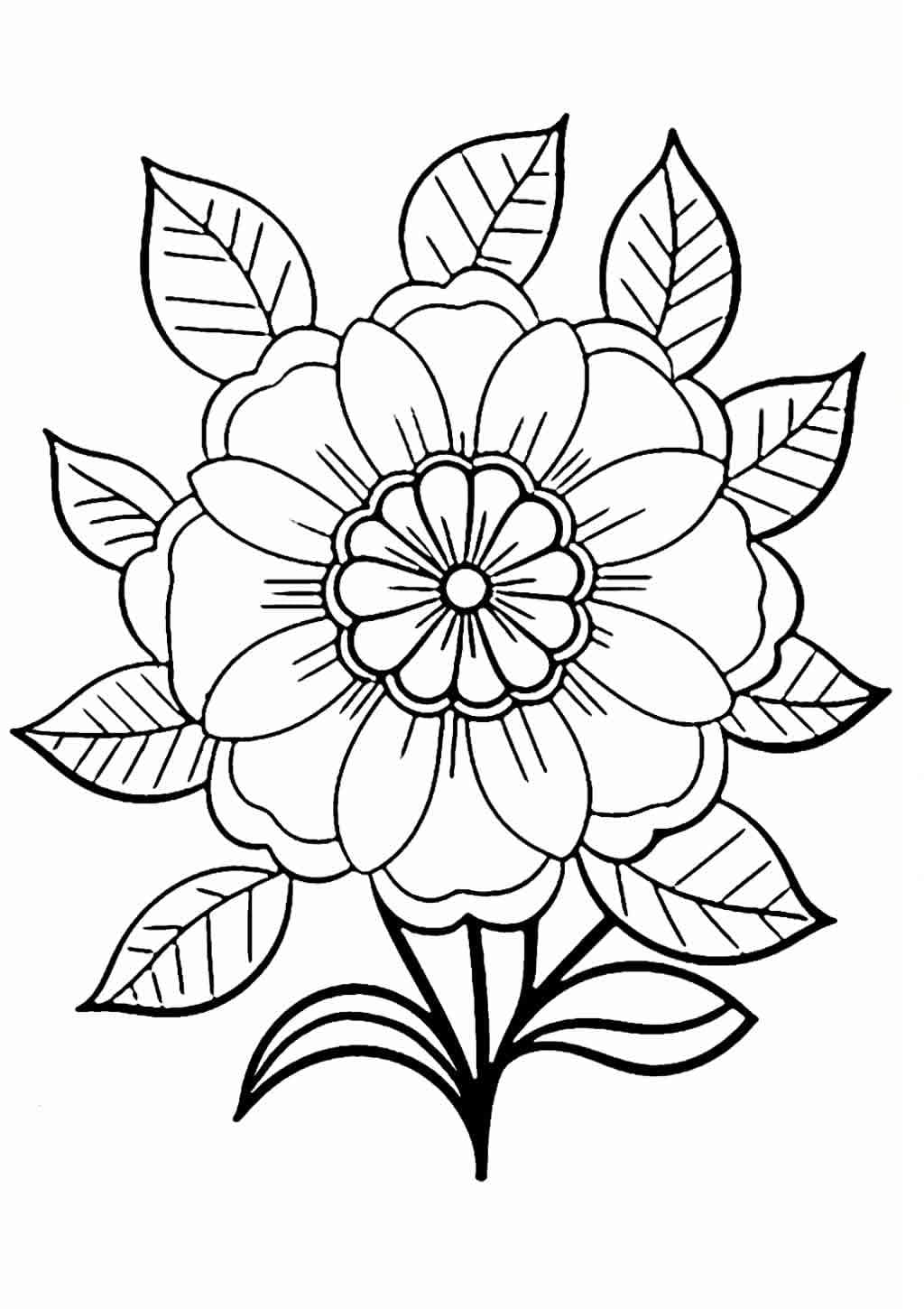 Desenho de uma Flor Muito Bonita para Colorir