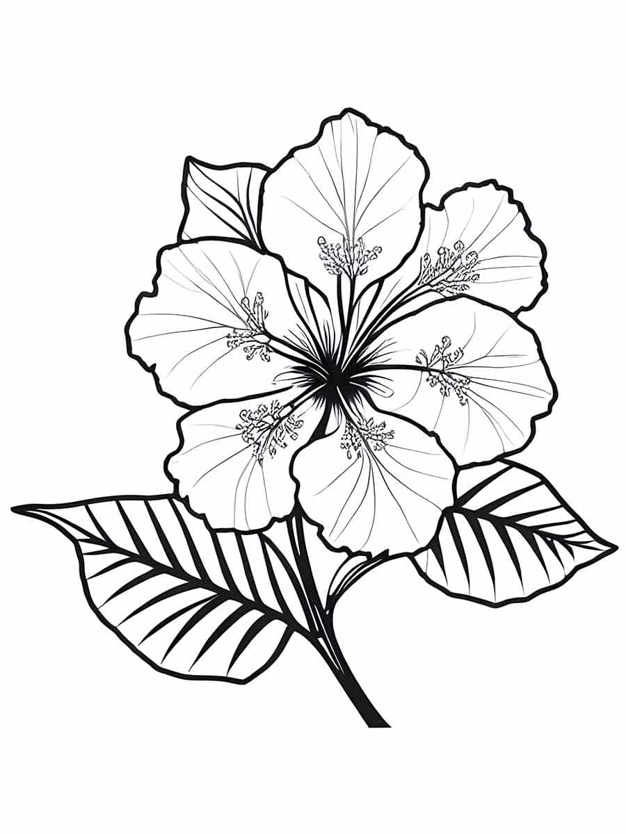 Desenho de uma Flor para Colorir