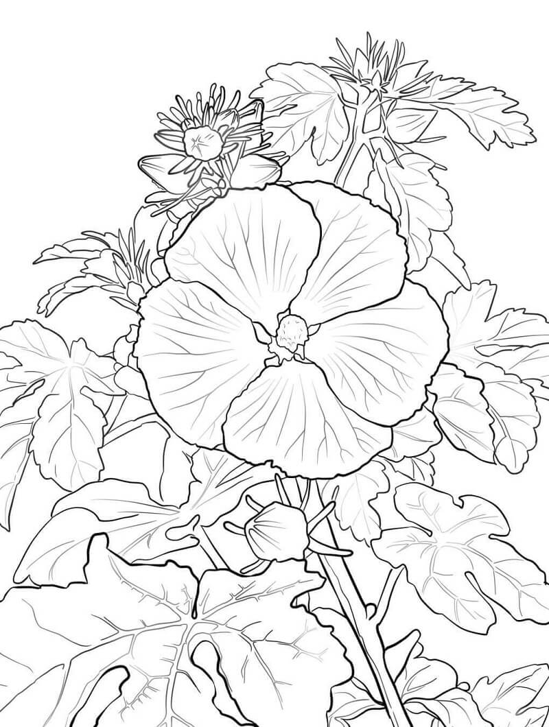 Desenho Cheio de Detalhes de Flores de Hibisco para Colorir