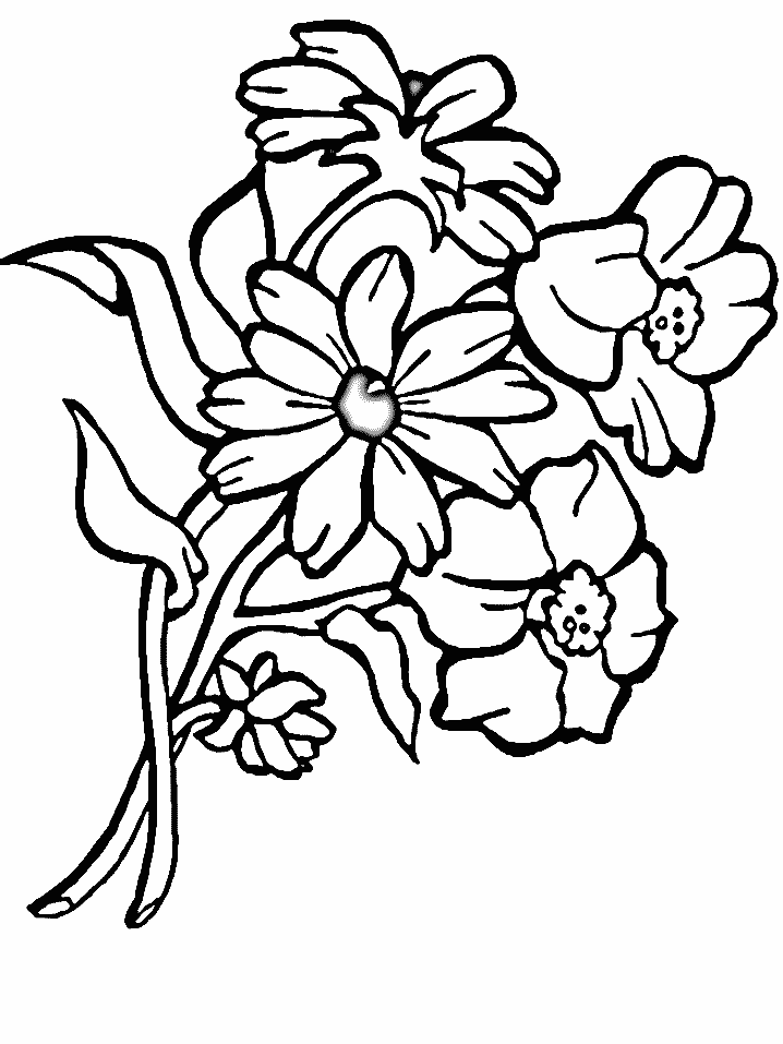 Desenho de Flores Perfeitas para Colorir de Graça